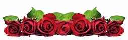 Цветы 19