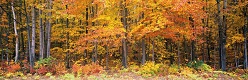 Разное 182